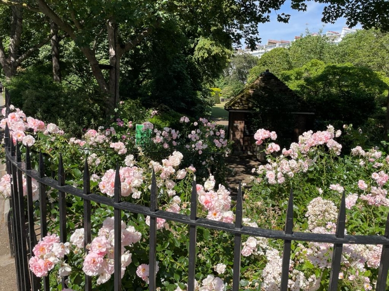 Cadogan Place South Garden